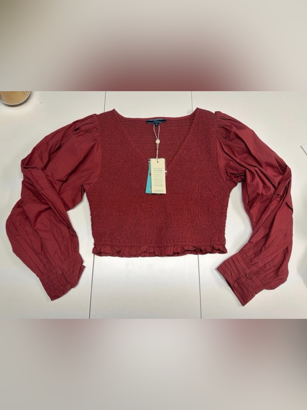 Women's Red (Brandy) Smocked Crop Top with Balloon Sleeves